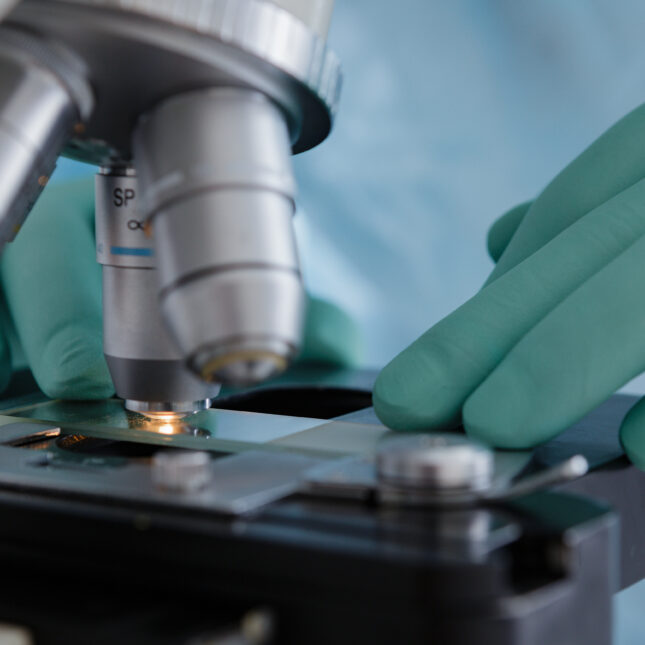 Stock photo of a close up of gloved hands manipulating a slide under a microscope lens