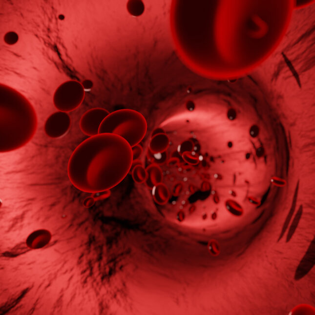 Red blood cells flow in an artery biotech — biotech coverage from STAT