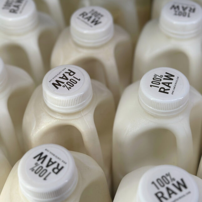 Round stickers that read "100% RAW" are put on the caps of several milk bottles — coverage from STAT