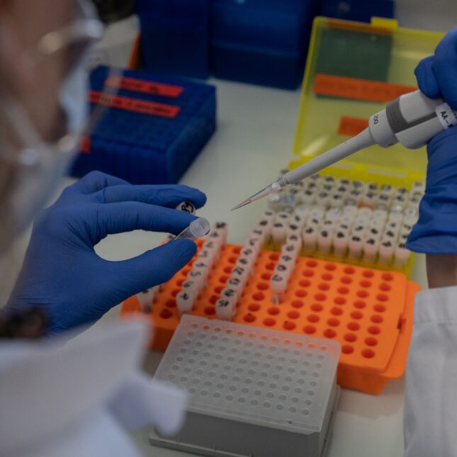 A researcher uses a repeating pipette with their right hand, aiming towards an open DNA vial held by their left hand. Two sets of DNA vials are placed on the table in the background — first opinion coverage from STAT