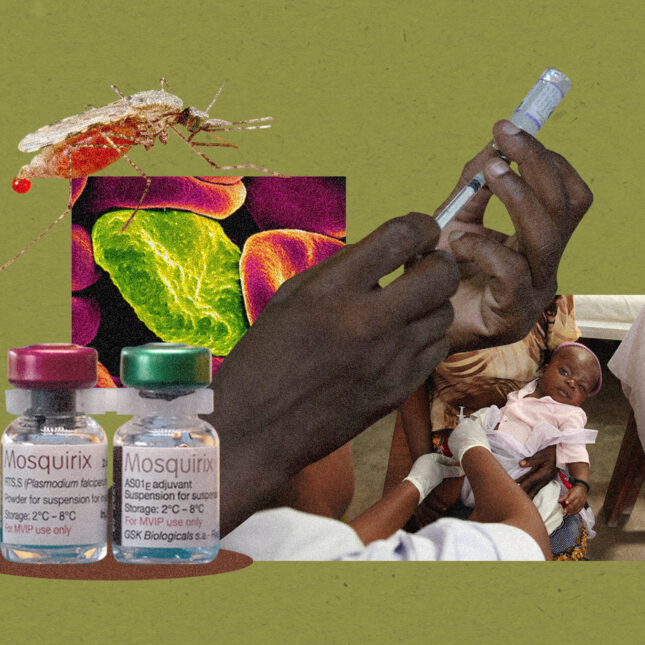 In the center of a collage is a cut-out of a person preparing to administrate a malaria vaccine with a syringe in one hand and a vial in another. Underneath the hand cut-out, on its right side, is the photo of a child receiving a malaria vaccine. Underneath the hand cut-out on its left side is a micrograph of red blood cells infected with malaria parasites. The micrograph is placed between the cut-out of a mosquito on the top and the cut-out of two Mosquirix vaccine vials on the bottom — health coverage from STAT