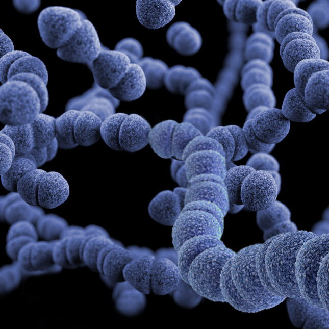 This illustration depicted a three-dimensional (3D), computer-generated image, of a group of Gram-positive, Streptococcus pneumoniae bacteria. The artistic recreation was based upon scanning electron microscopic (SEM) imagery.